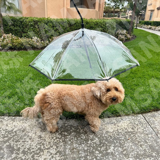 Pet Umbrella Dog C- Type Adjustable