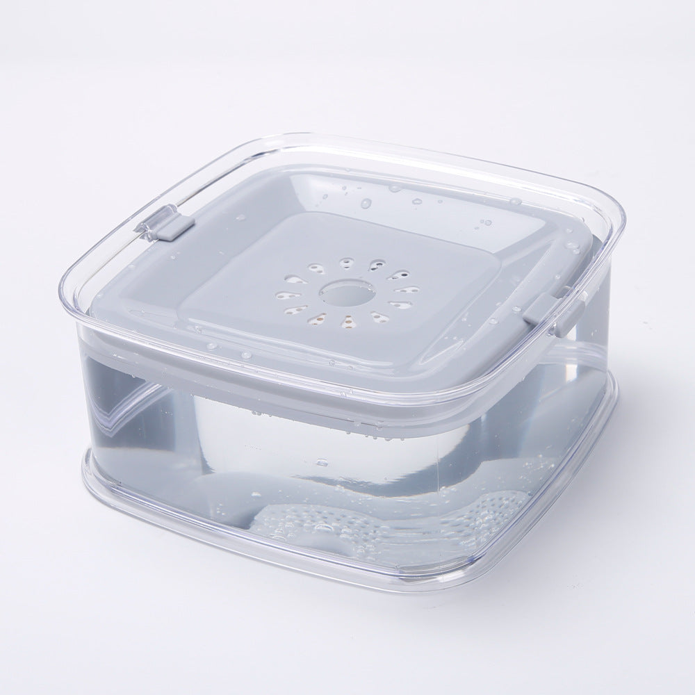 Dog Drinking Water Bowl With Floating Design