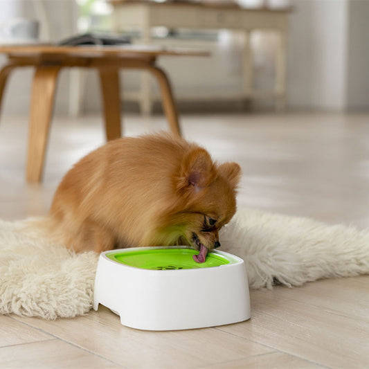 Dog Drinking Water Bowl With Floating Design